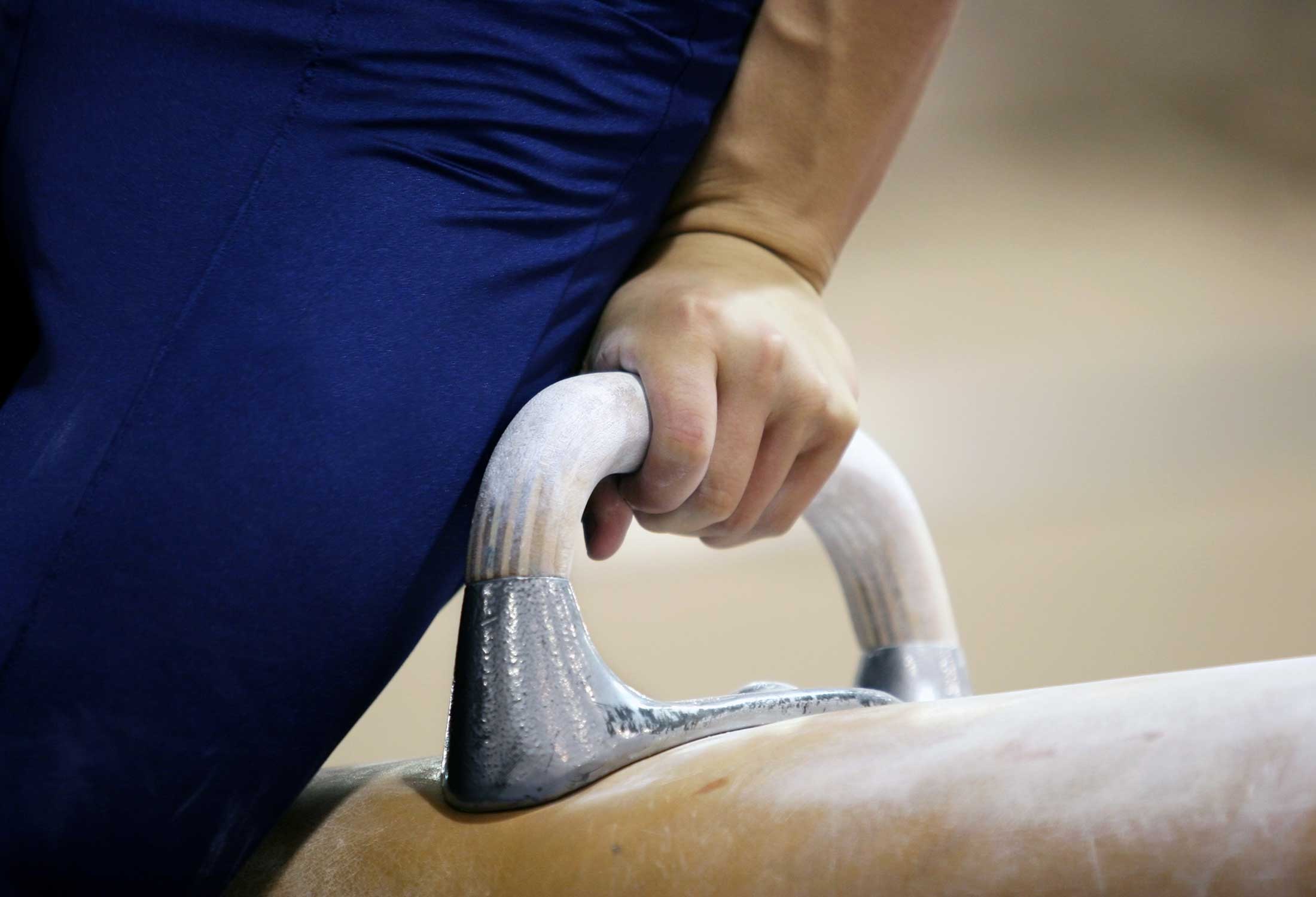 Gymnastics Pommel Horse